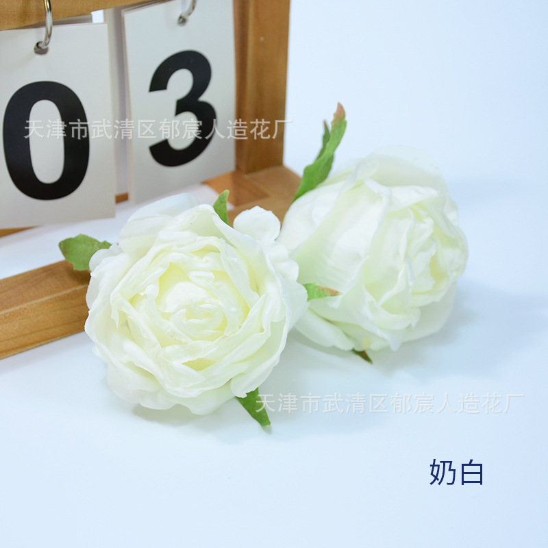 焼きながらのバラの花の焦げながらのバラの花の頭をシミュレーションします。|undefined