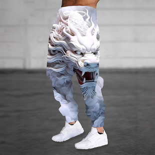 2025 New Autum Cross-Border European and American Men's Casual Pants and Sweatpants 3D Digital Printing Factory Direct Sales Regular