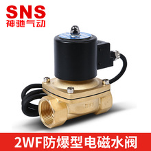 SNS神驰防爆型电磁水阀黄铜2WF160-15常闭式气动电子排水阀AC220V