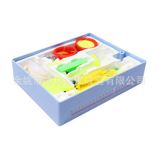 21035�������W���ЏS��ֱ�N��������x�����W������Ľ̌W�x��