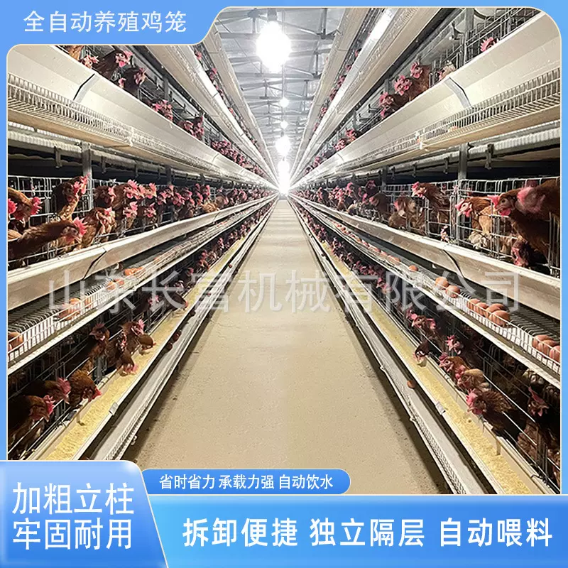 蛋鸡笼多层阶梯式蛋鸡笼加粗养殖笼具框架养殖场层叠式H型鸡笼具