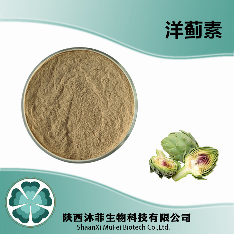 洋蓟素5% 朝鲜蓟提取粉 现货供应量大从优 朝鲜蓟生粉