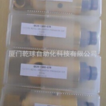 ROTOFLUX旋转接头S20-1301-02L意大利进口