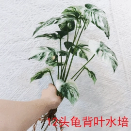 仿真绿植;仿真花;仿真盆栽