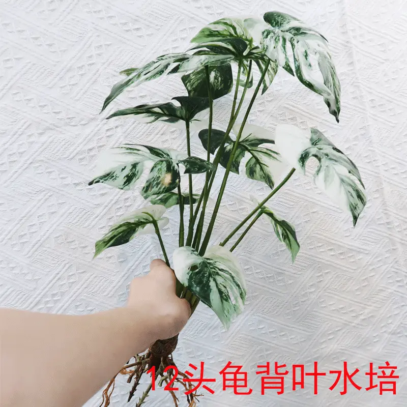 仿真植物龟背叶12头水培家居装饰人造龟背叶树乔迁样板间假花绿植