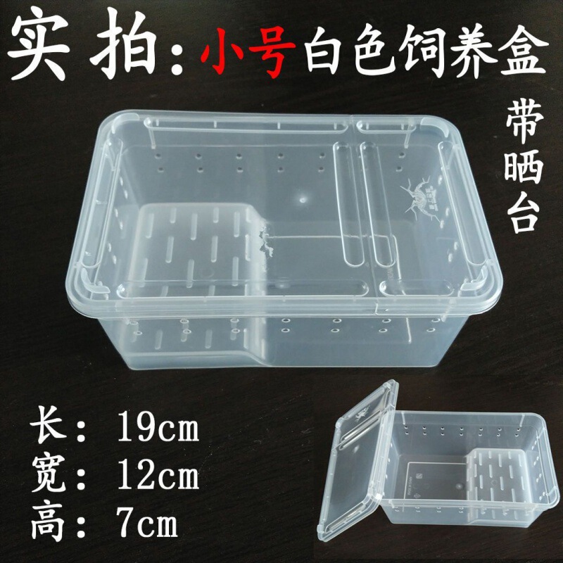 爬虫類、白翡翠カタツムリ、ホーンカエル、クモ、カマキリ、ヤドカリ、昆虫、特大、中型、小型、ミニ高透明飼育箱|undefined
