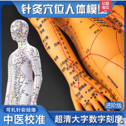 Zhenghe Acupuncture Point Human Body Model Meridian Acupoint Model Figure Whole Body Chinese Medicine Twelve Bronze People Needle Small Skin People