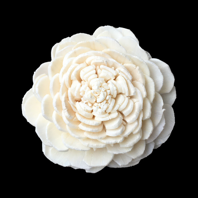 Spot Wholesale | 4cm Dadi Farm Gardenless Chrysanthemum and Tongcao Flower Home Decoration Artificial Dried Flower Can Be Dyed and Perforated Spot Wholesale | 4cm Dadi Farm Gardenless Chrysanthemum and Tongcao Flower Home Decoration Artificial Dried Flower Can Be Dyed and Perforated