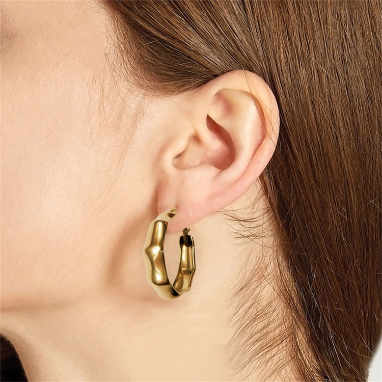 Fashion Geometric Plating Stainless Steel 14K Gold Plated Earrings display picture 5