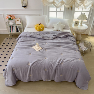 Baby Grade a Grade Cotton Soy Fiber Quilt Four-Season Air-Conditioned Quilt Core Double Winter Quilt Spring & Fall Quilt Summer Quilt