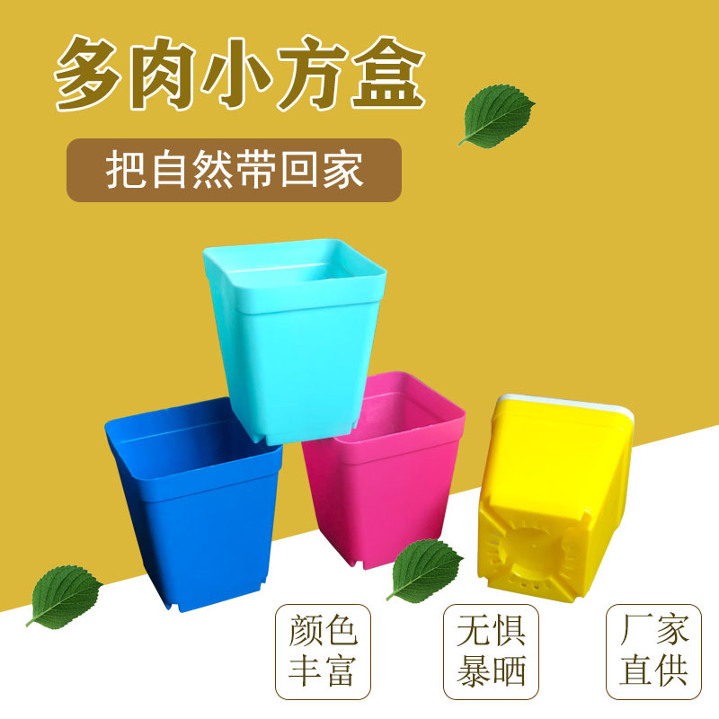 热卖彩色多肉植物塑料花盆育苗盆小多肉盆小方盆托盘彩方大小黑方