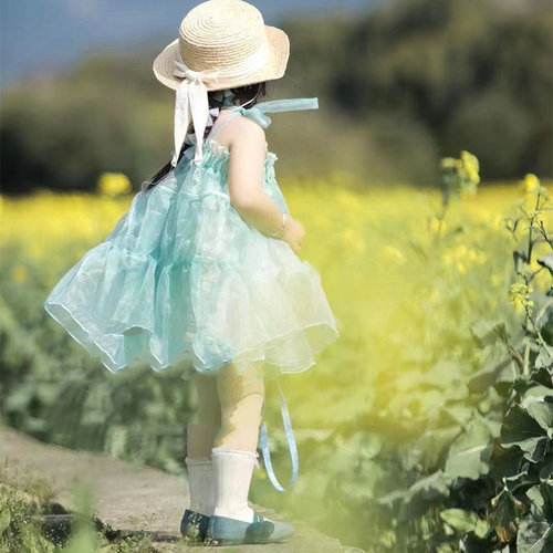 Little Girls' Dress with Lace Sleeve Net Dress Princess Dress 24 Summer New Model Foreign Trade Children's Clothing Drop Shipping 3-8 Years Old