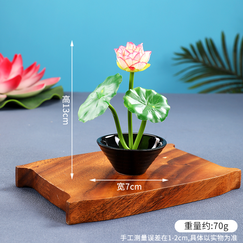 酒店菜品摆盘装饰点缀冷菜装饰花草摆盘刺身绿毛球三文鱼摆件围边|undefined