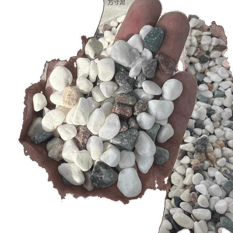 Yuhuashi pebbles small shop decoration smooth painted edible goose copper coins foreign trade wholesale supply chain factory