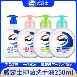 威露士抑菌洗手液健康呵护滋养抑菌成人儿童倍护滋润丝蛋白250ml