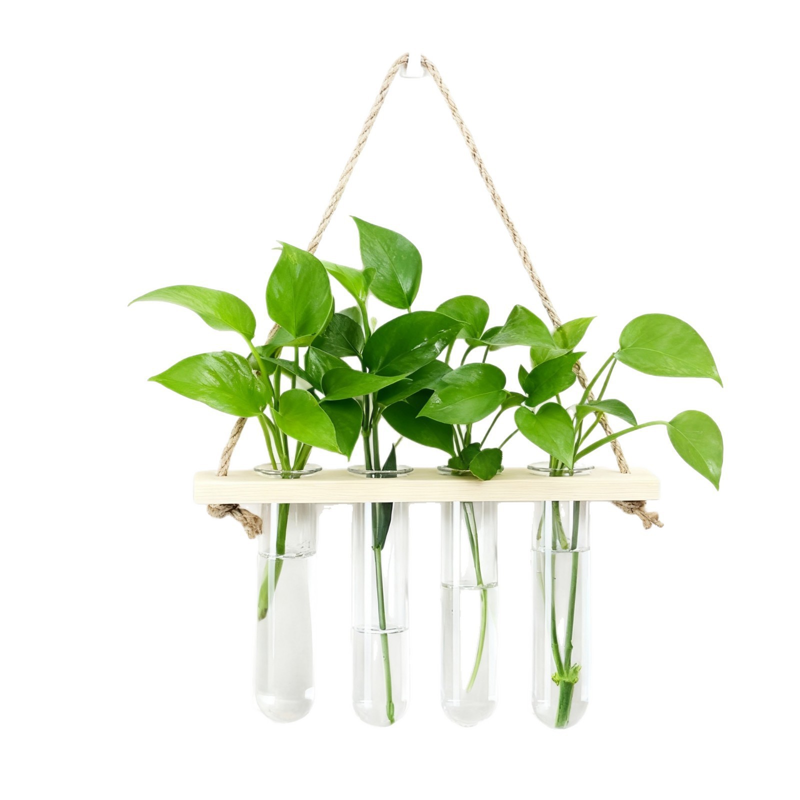 Creative Solid Wood Wall-Mounted Hydroponic Glass Test Tube Wall Decoration Home Plant Hanging Wall Decoration Rack