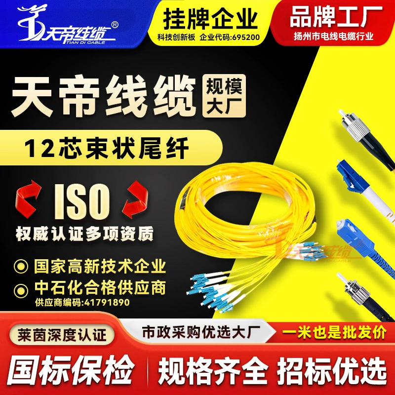 Прямые продажи с фабрики Tiandi, 12-жильный одномодовый оптоволоконный косичка, внутренняя перемычка, широкополосная сеть SC FC ST LC