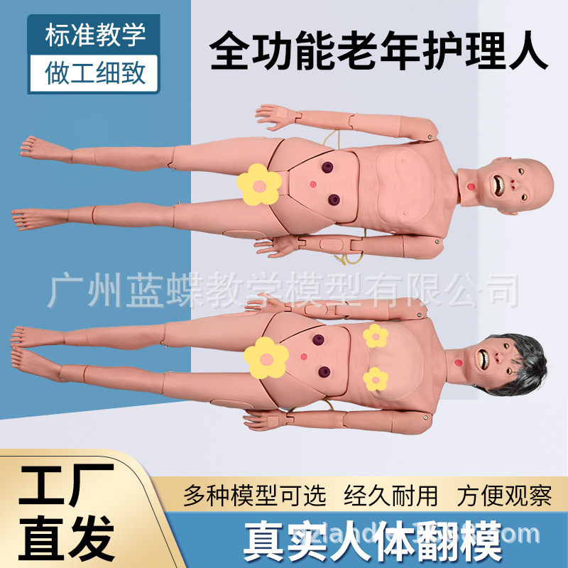 ���ϻ��� ȫ�������껤����ģ�� ��Ƥ����ѵ����ѧѪѹ����ģ����