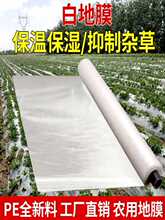 ?�׵�Ĥ�r�ð�Ĥ���ر����߲˴�����@�Nֲ���ݵز�Ĥ�������ϱ�