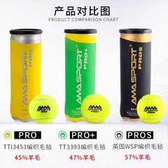 【サポート付き】パデルボール パデルボール ケージ式 テニスボール 高弾性 耐久性 トレーニング・試合用ボール