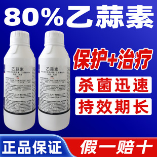 80%�������޻��Sή���������������Sή��������Ʒ�rș�F����