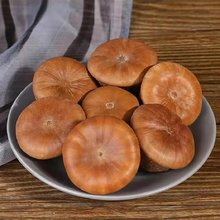 aֱVخaLIӉꖹݾʯ^șl