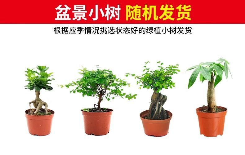 0bf60fd8-204b-46c5-a1ef-76e4004fab59.jpe