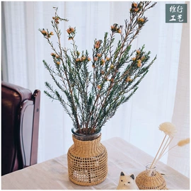 女士手提包;装饰花瓶;植物工艺品