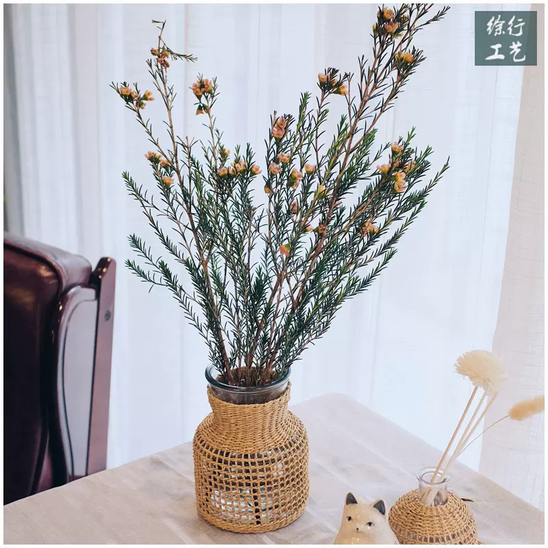 徐行工艺草编花盆透明玻璃花瓶咖啡厅餐厅ins编织水培装饰Eins风