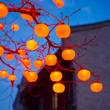 2025�����b��������ӟ��\�����t���\LED̫����b��Շ��ʟ�