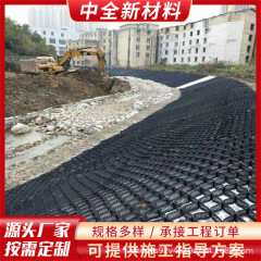 河道护坡高强度土工格室 HDPE蜂巢土工格室 河道植草绿化土工格室