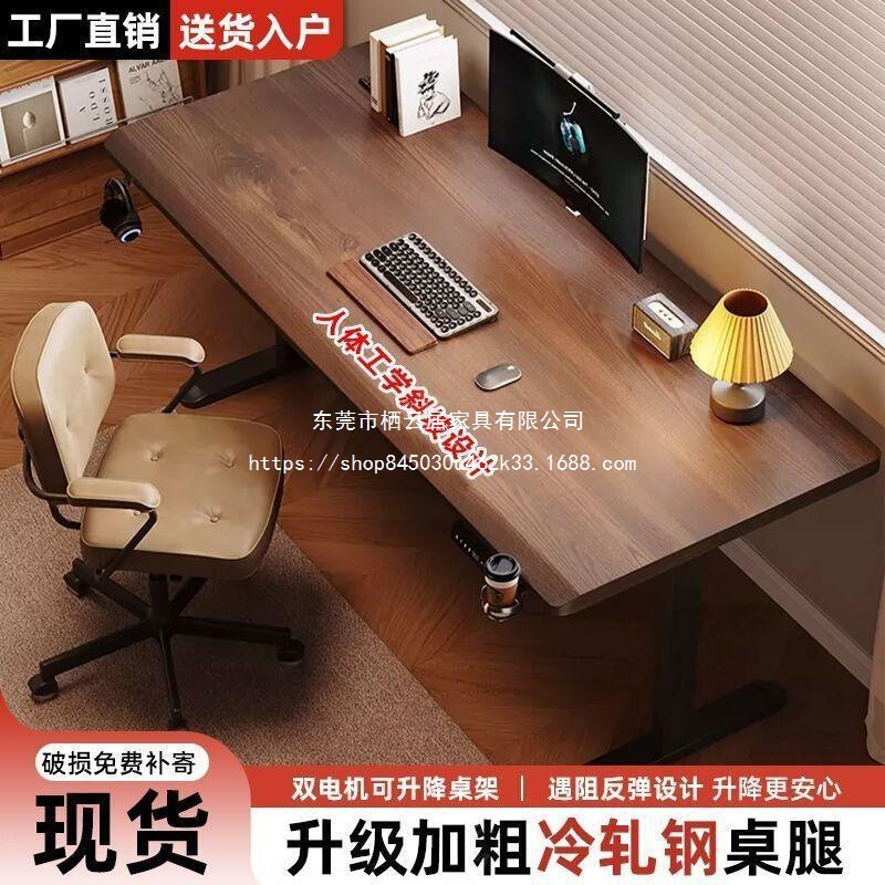 Electric Adjustable Table, Computer Desk, Desktop Home Desk, Study Table, Bedroom Gaming Table, Office Desk, Workbench