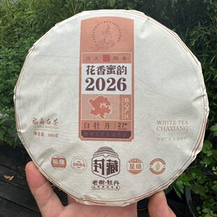 2026�긣����ꖸ�ɽ��F������퍰�ĵ��300g�ײ�S�����l����