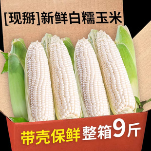 �Fժ��Ŵˮ����������ʳ�_����ʳ��֬������p���r����b����