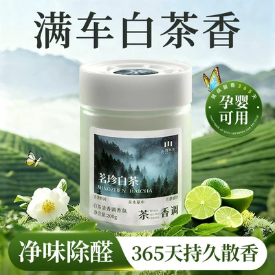 Car Perfume Aromatherapy — Fragrance to Remove Odors