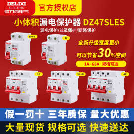 德力西小型漏电保护器dz47SLEs漏电开关2p3p家用断路器40a32a63a