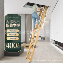 ľ�|�w�ǘ����҃������݄e������ۯB��������s�ռ{���ӼҾӷ���