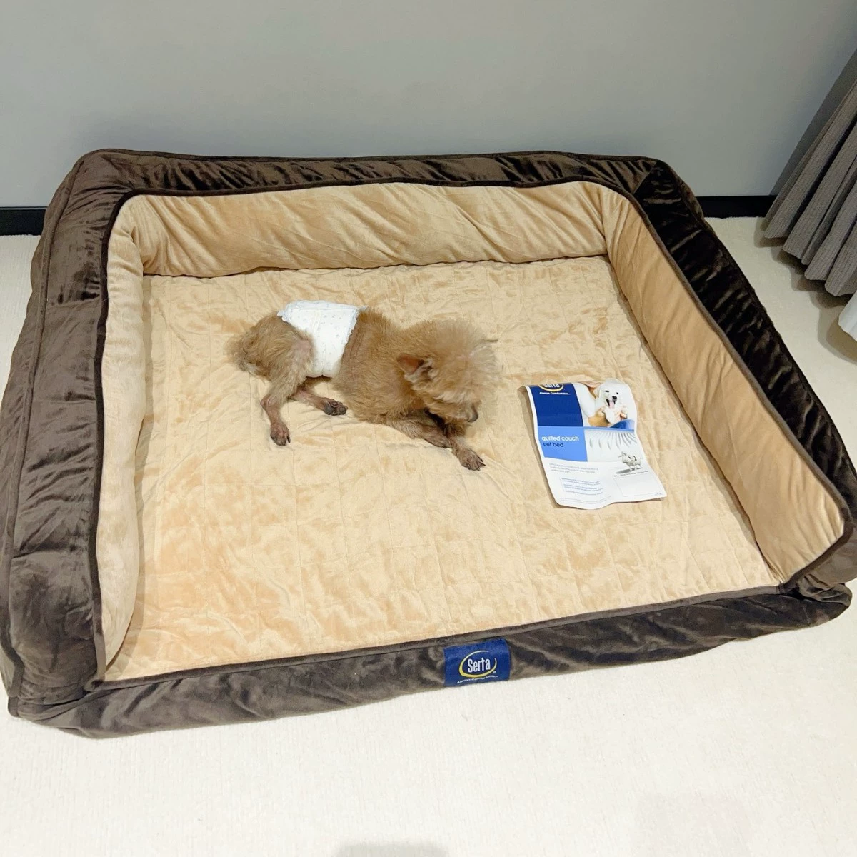 Домашняя питомница удобная дивановая подушка темная