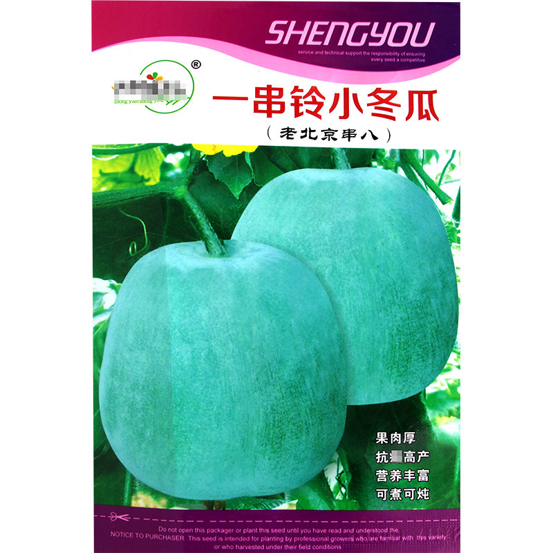 A Bunch of Bell Small Winter Melon Seeds Farmland Vegetable Garden Cultivation Easy Storage Old Beijing String Eight Winter Melon Vegetable Seeds