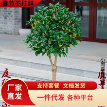 һ�����l�𻨘�������ֲ���k���҃Ȼ����ļ��_�����B�׻�Ŀ͏d�G