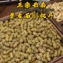 紫皮石斛多品类枫斗煲汤用中药材现货基地水草新货批发紫皮石斛