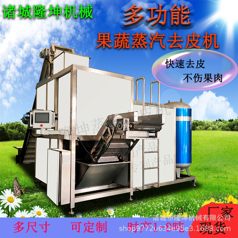 商用大型苹果去皮神器 多功能果蔬蒸汽爆皮机 不锈钢桃子梨削皮机