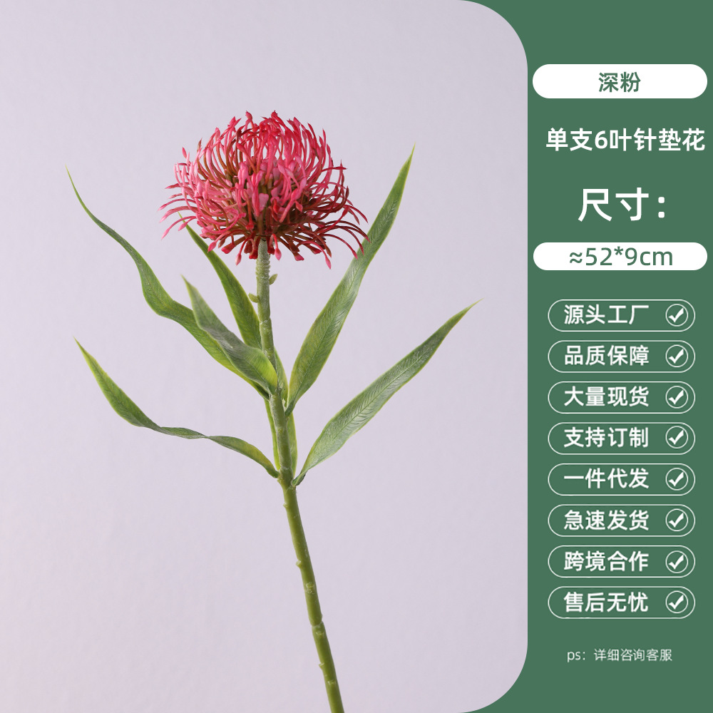 단일 가지 6잎 침대꽃 - 진한 분홍색