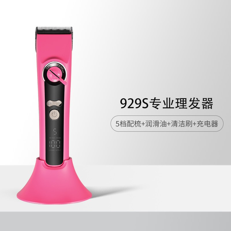 929s 파우더