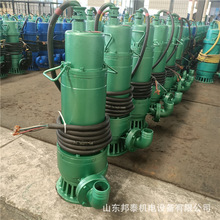 BQS7.5KWVøɳˮ늱 BQSV÷ˮɳ