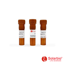 SF131 ��С��IgG&ndash;FITC Goat Anti-Mouse IgG/FITC ������