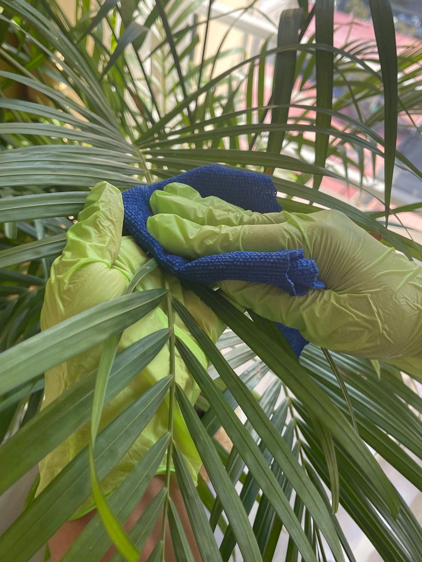 微信图片_20240320213126