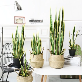 仿真绿植;仿真盆栽;花盆容器