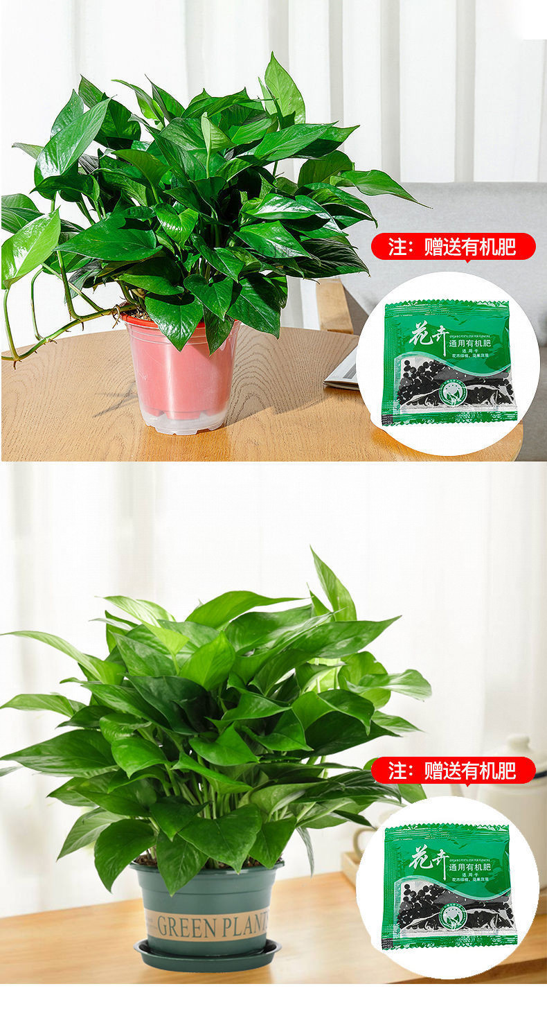 d11e6449-227f-454c-bb46-db279c18a73b.jpe