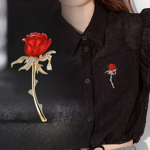 tõᘕrи߼Сbeᘷ߹ᘼtɫػ